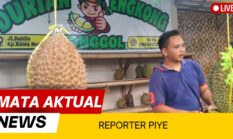 Legenda Durian Engkong Jonggol, Dari Bogor Timur Menembus Penjuru Jawa Barat
